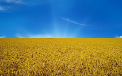 830338 (a): :1920x1200